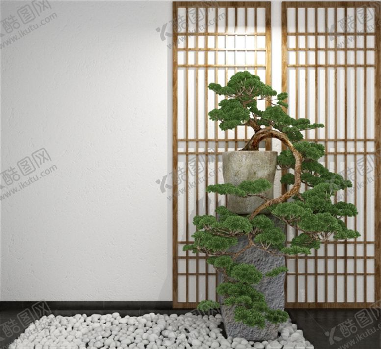 编号：42015807121020401005【酷图网】源文件下载-地柏盆栽