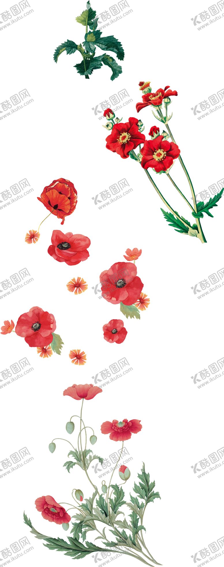 编号：18208707140622005317【酷图网】源文件下载-手绘花