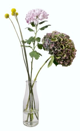 花素材