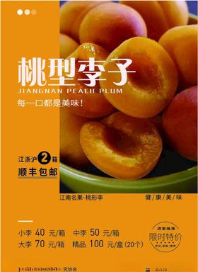 水果海报宣传单李子展板