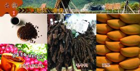 怒江迪庆特色特产