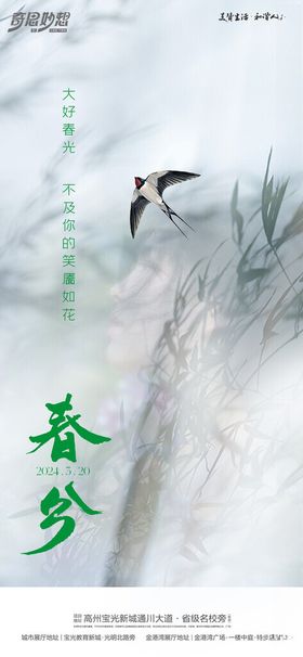 白云春风