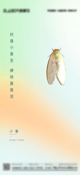 小暑海报