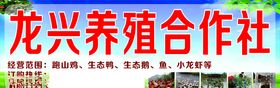 龙兴养殖合作社