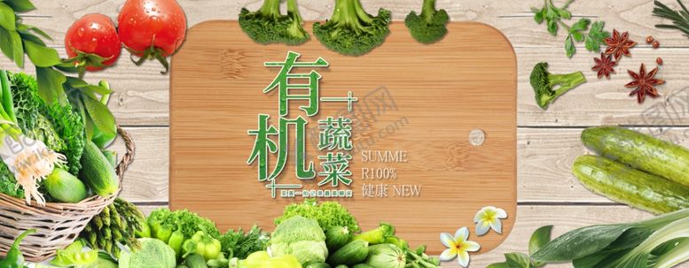 编号：46026107041545071549【酷图网】源文件下载-有机蔬菜