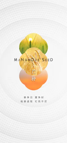 芒种