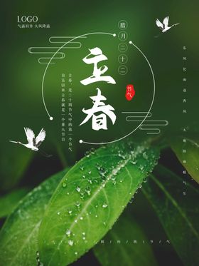 立春海报节气插画天宣传单