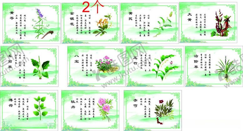编号：94137606042019164960【酷图网】源文件下载-药材药草