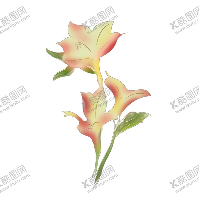 编号：71424609221907198351【酷图网】源文件下载-水仙花插画