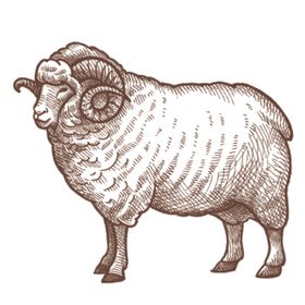 家养动物主题插画