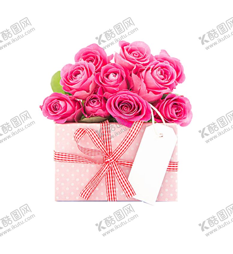 编号：25932509240320596607【酷图网】源文件下载-玫瑰