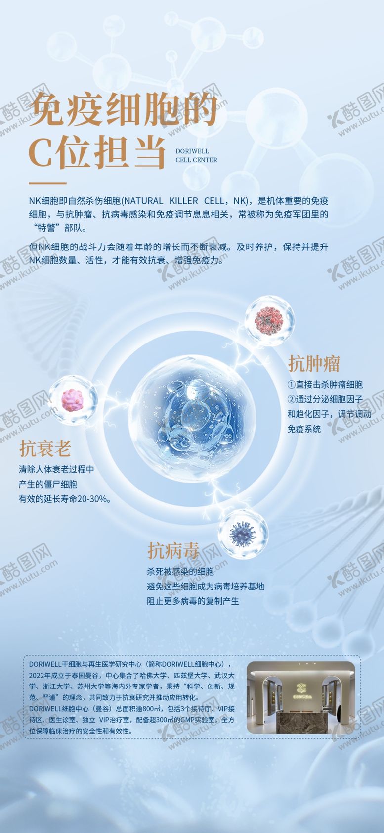 编号：85300202211750051292【酷图网】源文件下载-干细胞成分海报