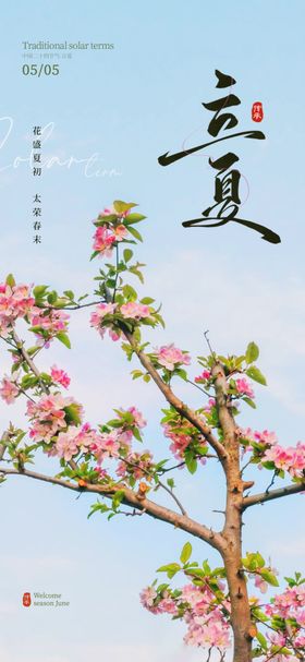立夏节气海报桃花日盛开
