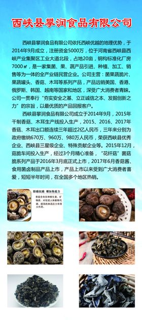 公司易拉宝