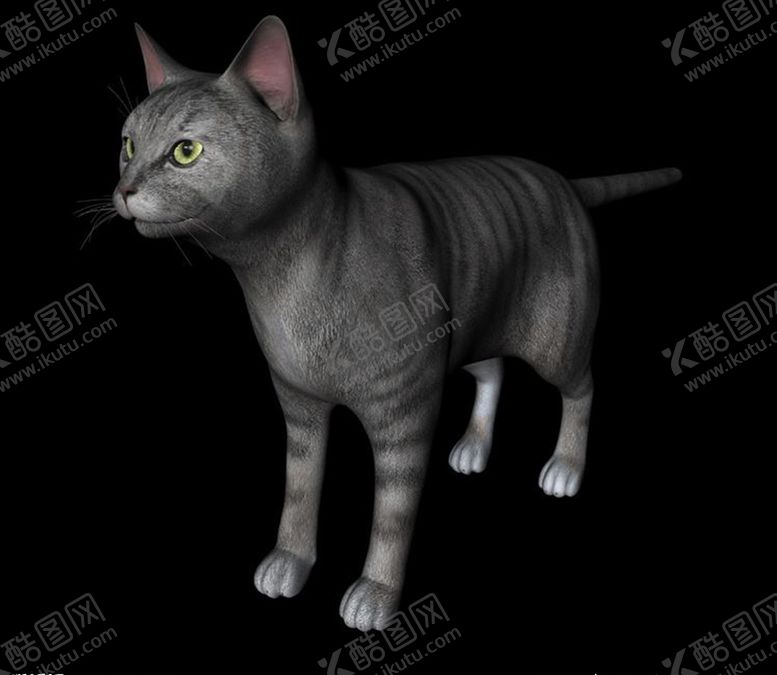编号：27514403190616144493【酷图网】源文件下载-C4D模型猫