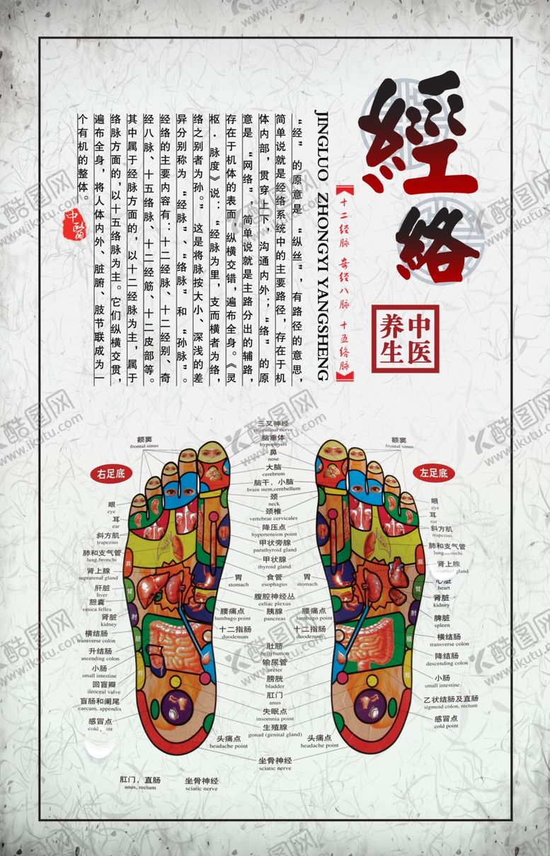 编号：91271510032047541277【酷图网】源文件下载-足疗