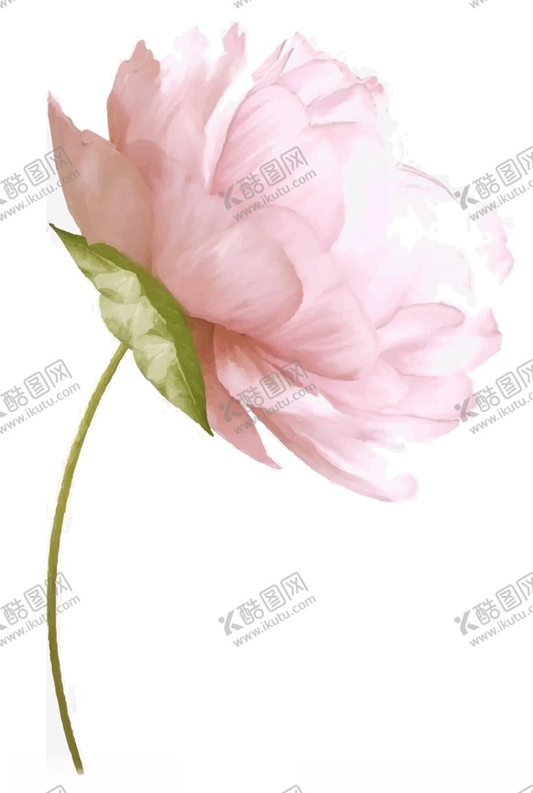 编号：45383809152336493113【酷图网】源文件下载-花朵素材