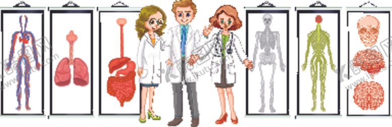 编号：91592809270836112582【酷图网】源文件下载-卡通医生