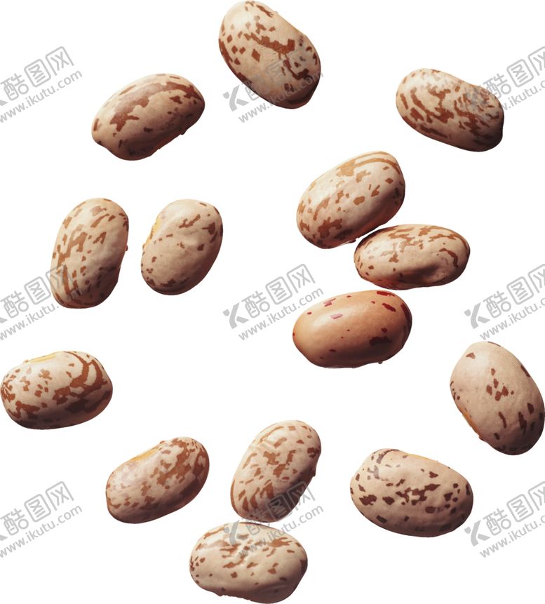 编号：80101505060350098080【酷图网】源文件下载-豆子