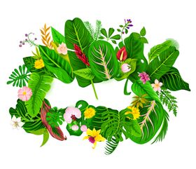 花边底纹