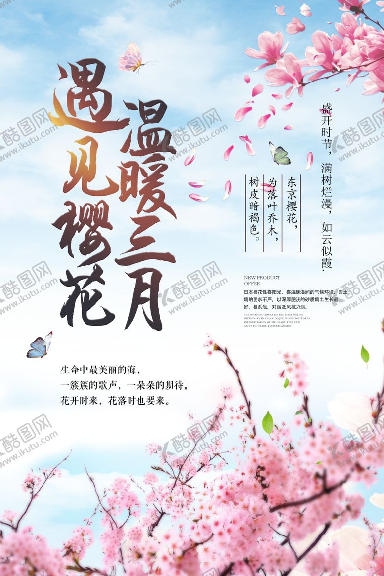 编号：20509105041013268513【酷图网】源文件下载-樱花节