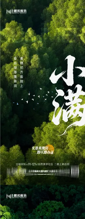 二十四节气小满节气节日海报