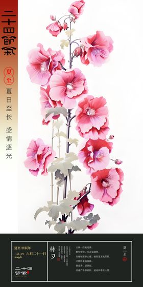 夏至二十四节气海报