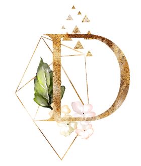 字母D