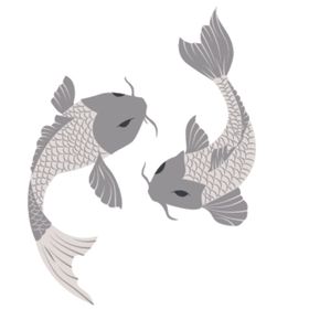鲤鱼插画图案