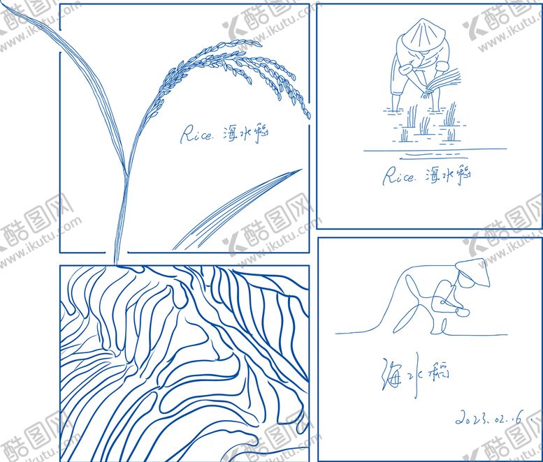 编号：97024109141555438052【酷图网】源文件下载-水稻简笔画