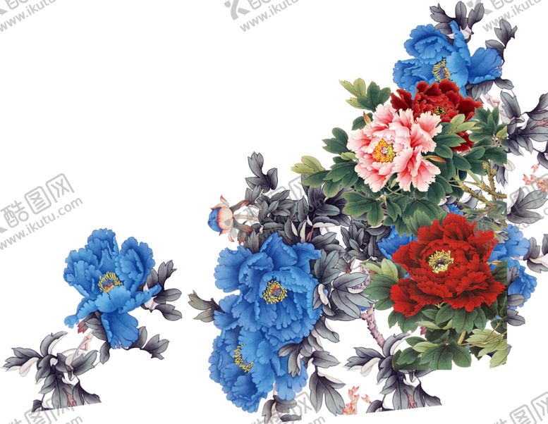 编号：53126609110050116744【酷图网】源文件下载-牡丹花