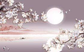 花鸟画玉兰小船背景墙
