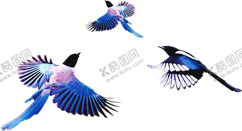 编号：71700510282323598560【酷图网】源文件下载-浪漫素材