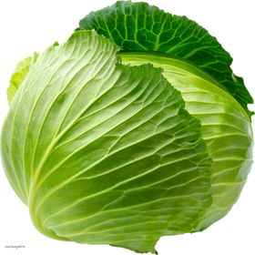 包菜