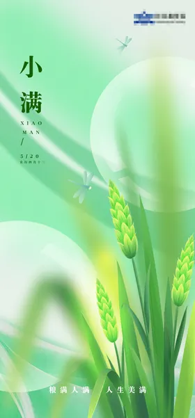 小满海报蜻蜓二十四节气麦子