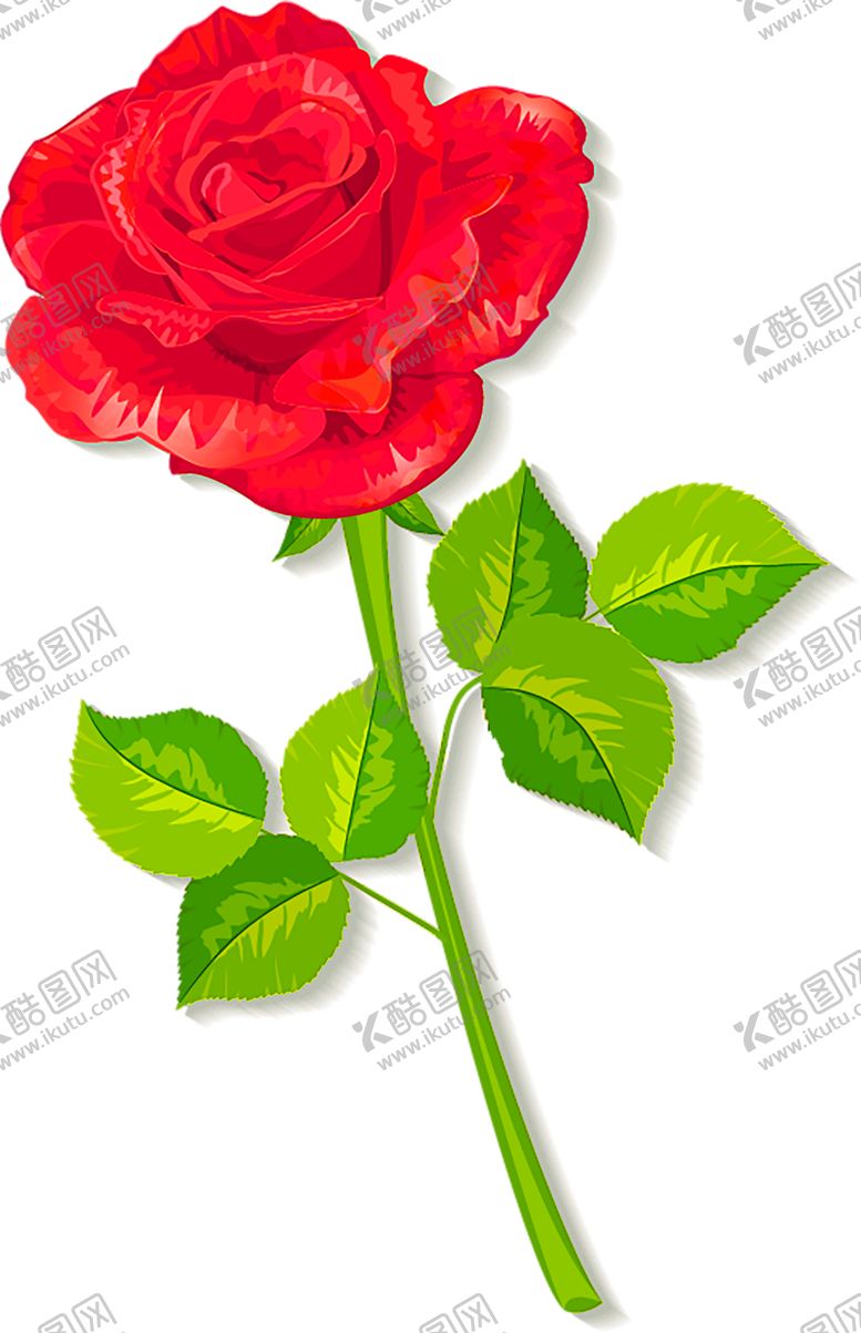编号：13093805160722072552【酷图网】源文件下载-鲜花装饰