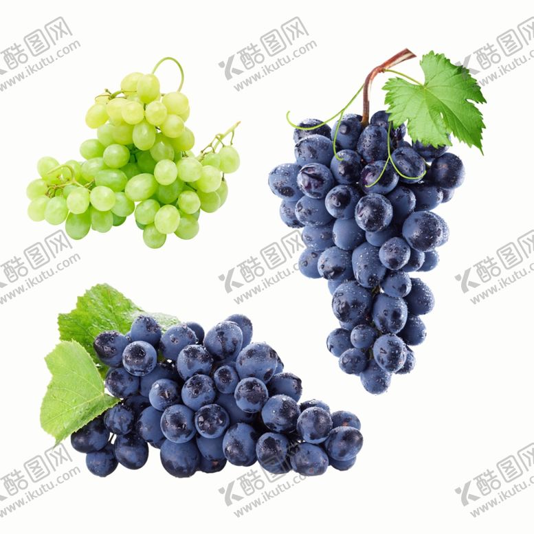 编号：82748107062216287546【酷图网】源文件下载-葡萄