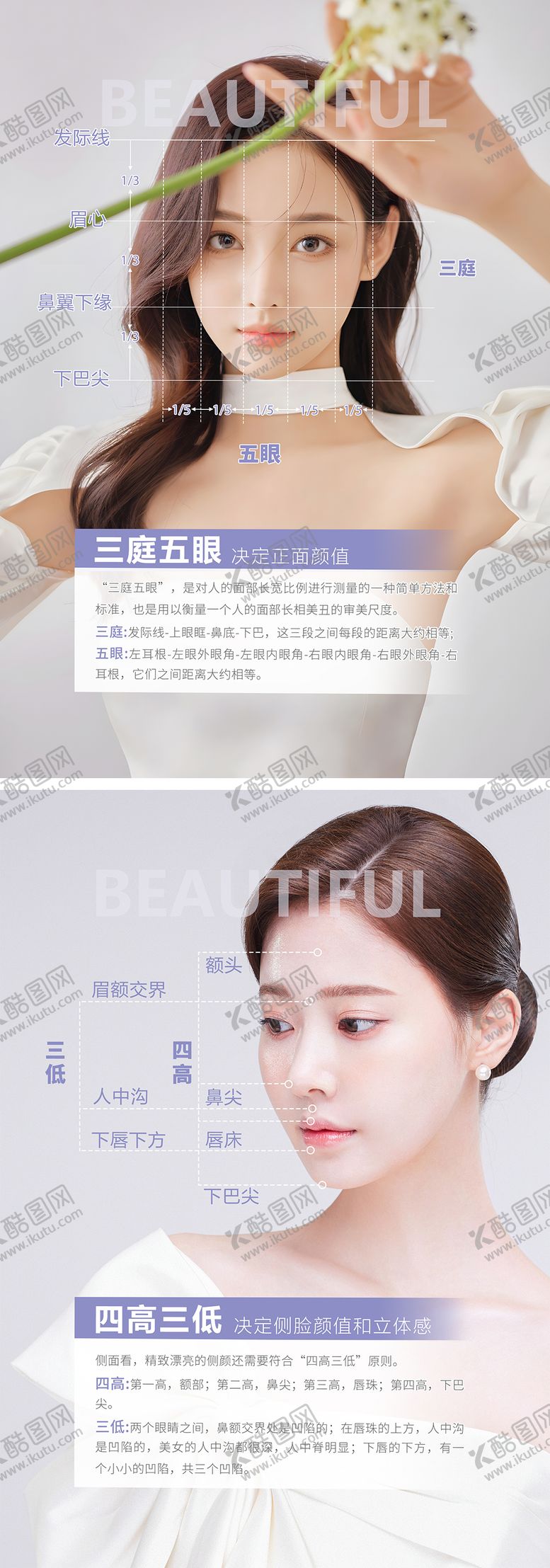 编号：69429006231416353900【酷图网】源文件下载-三庭五眼