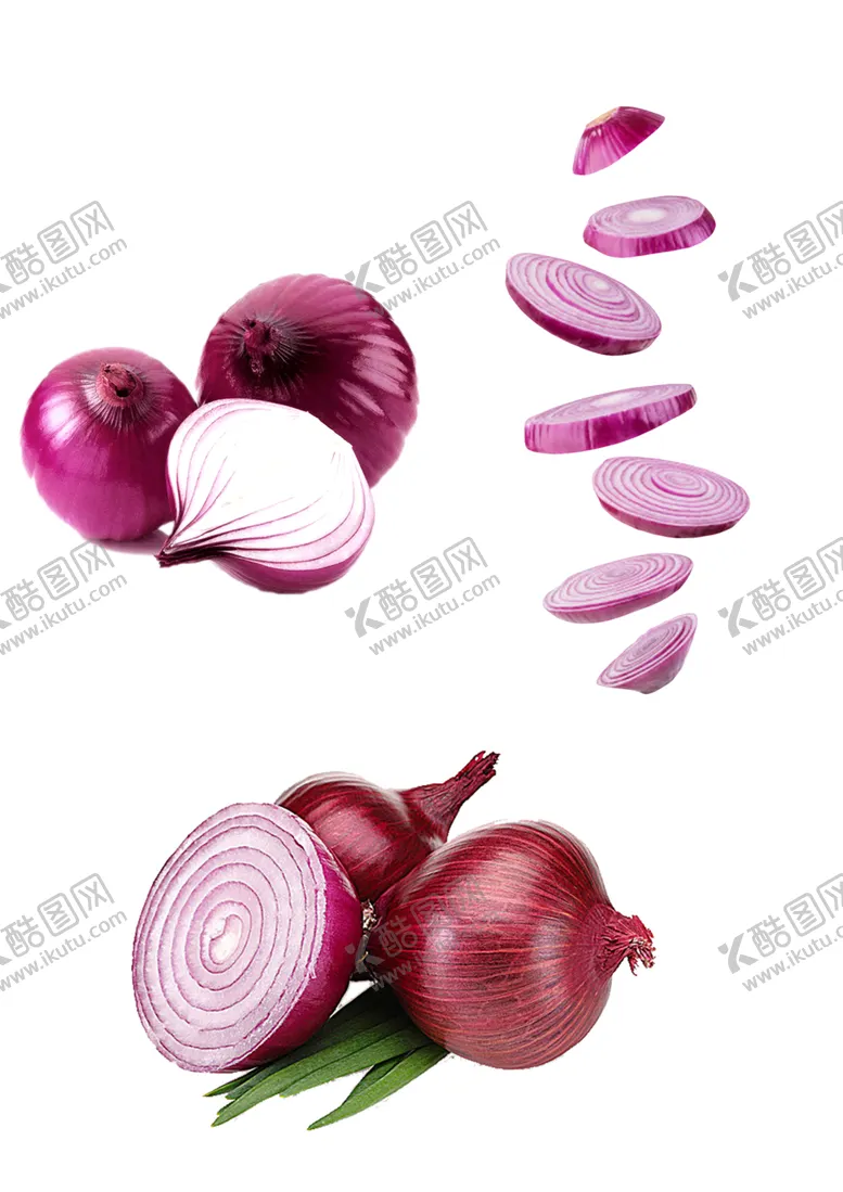 编号：48331901141038527231【酷图网】源文件下载-洋葱