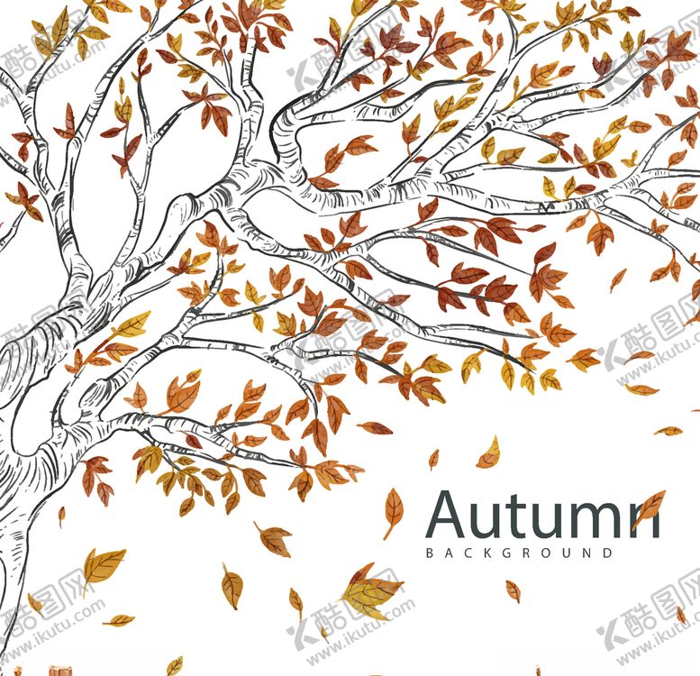 编号：95261009241027515980【酷图网】源文件下载-秋天绘画树叶素材