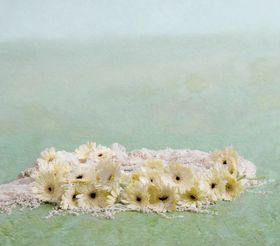 宝宝相册