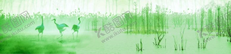 编号：74467309192013374942【酷图网】源文件下载-绿色森林背景