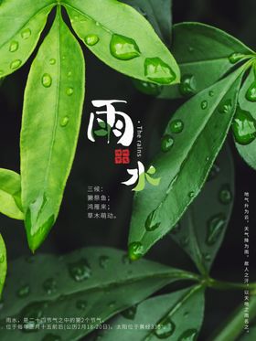 雨水节海报