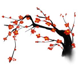 梅花素材