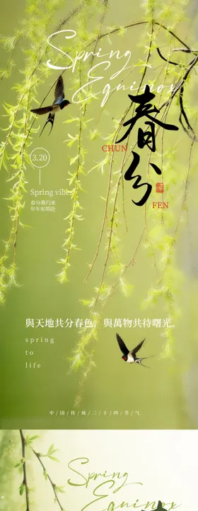 简约大气春分绿色节日宣传海报