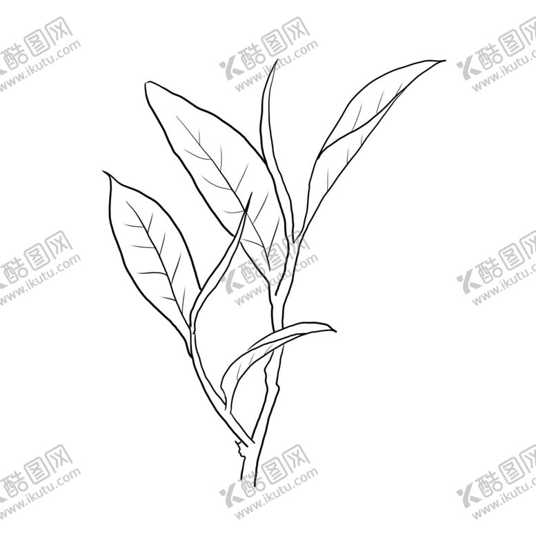 编号：76006007071951552325【酷图网】源文件下载-茶叶