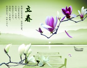 玉兰花