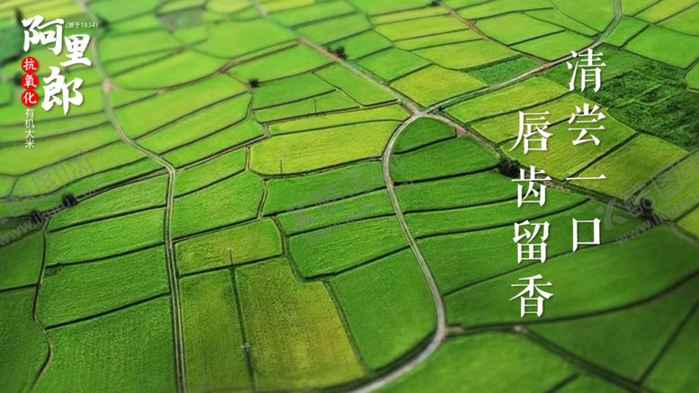 编号：63771106281902092645【酷图网】源文件下载-大米