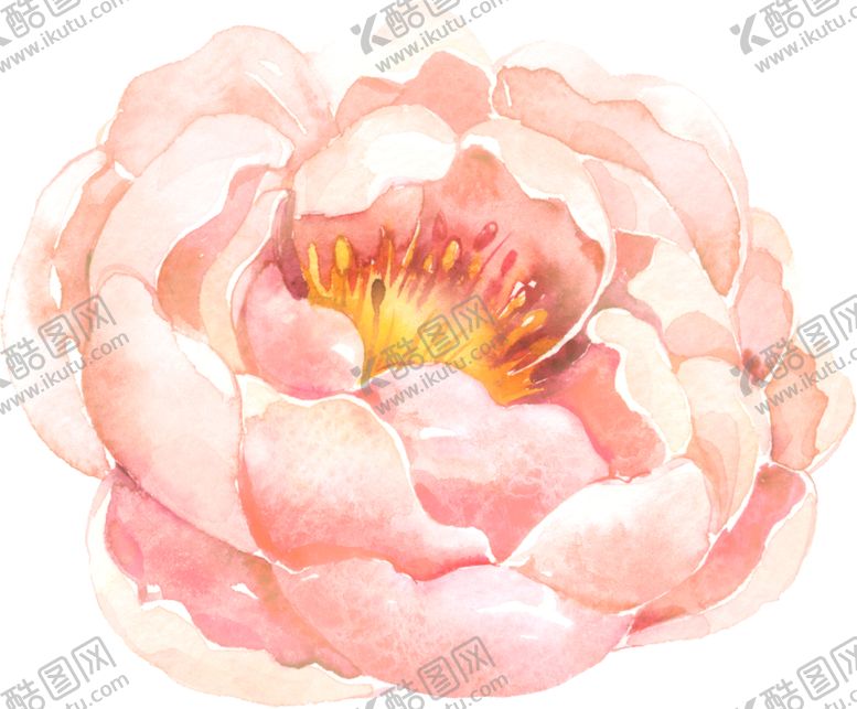 编号：56525505041838518048【酷图网】源文件下载-水彩手绘花卉花朵植物