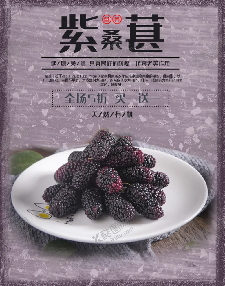编号：71906209291947168190【酷图网】源文件下载-紫桑葚